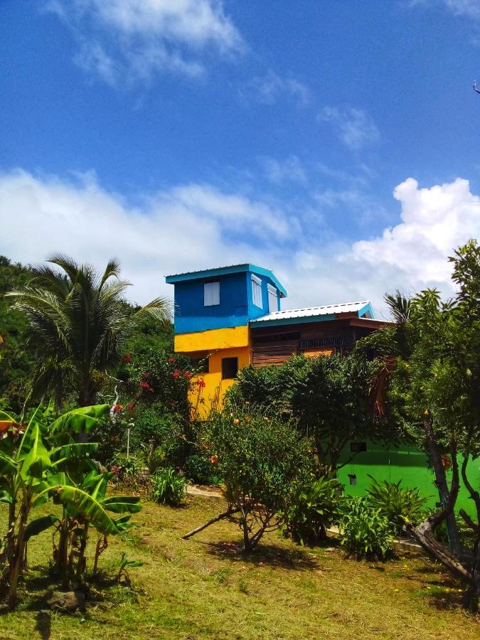 Windy View Guest House Archibolds Εξωτερικό φωτογραφία