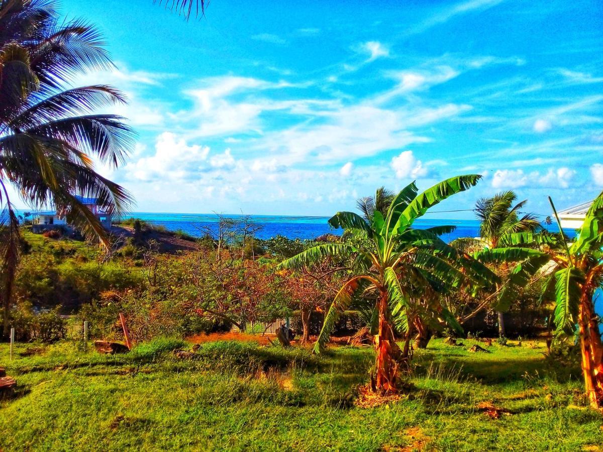Windy View Guest House Archibolds Εξωτερικό φωτογραφία
