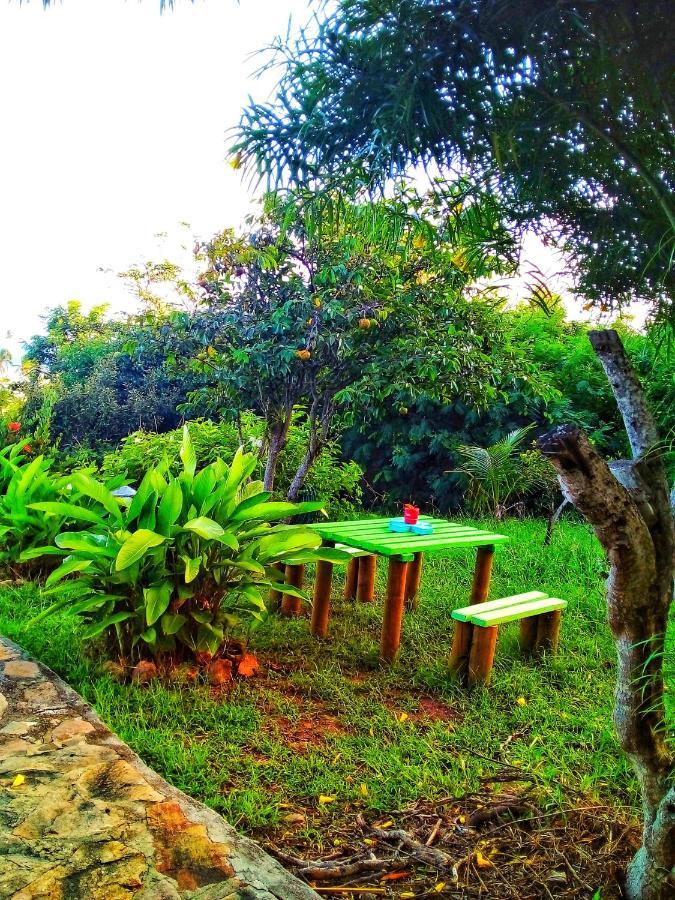 Windy View Guest House Archibolds Εξωτερικό φωτογραφία